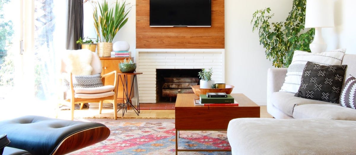 White living room with plants.